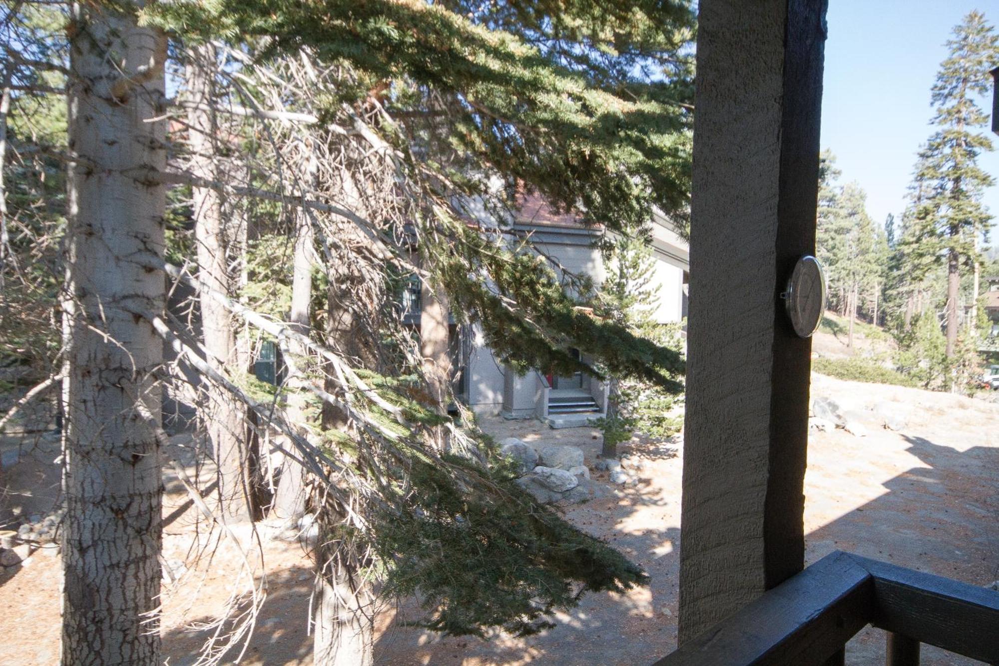 Chamonix #36 Villa Mammoth Lakes Exterior foto